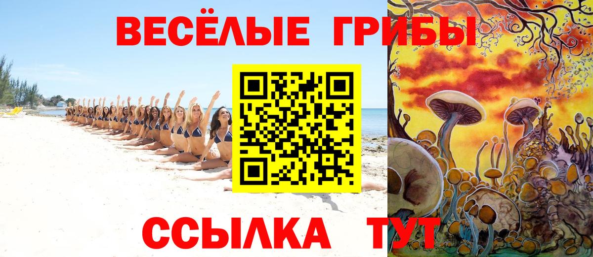 Ейск  Галлюциногенные грибы Psilocybe  Галлюциногенные грибы прущие грибы  Вход с VPN 